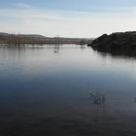 Landsted L'amparo *
