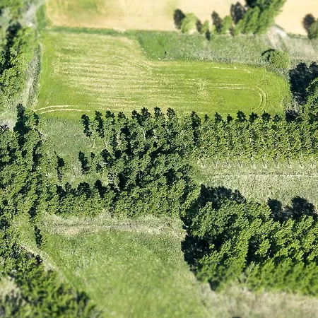 L´amparo -3 Espigas- Categoría Superior-15 Personas